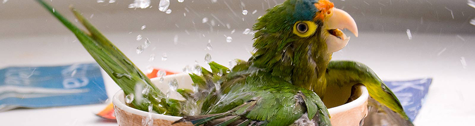 "Enter your caption here"