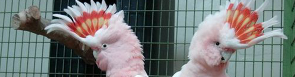 "Enter your caption here"